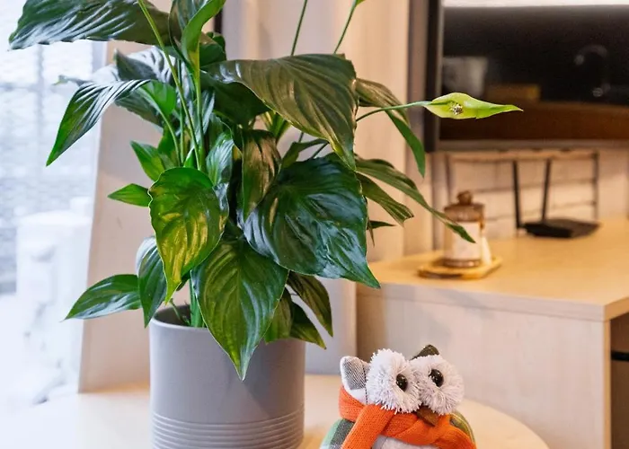 Sen Krasnala By Fusionaparts Lejlighed *